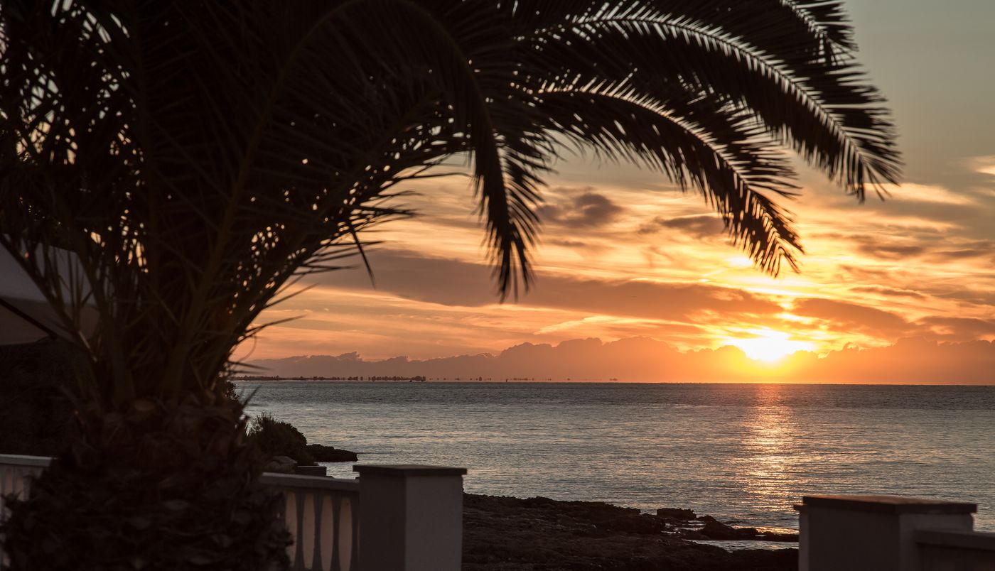 Carlos-III-General-view-73