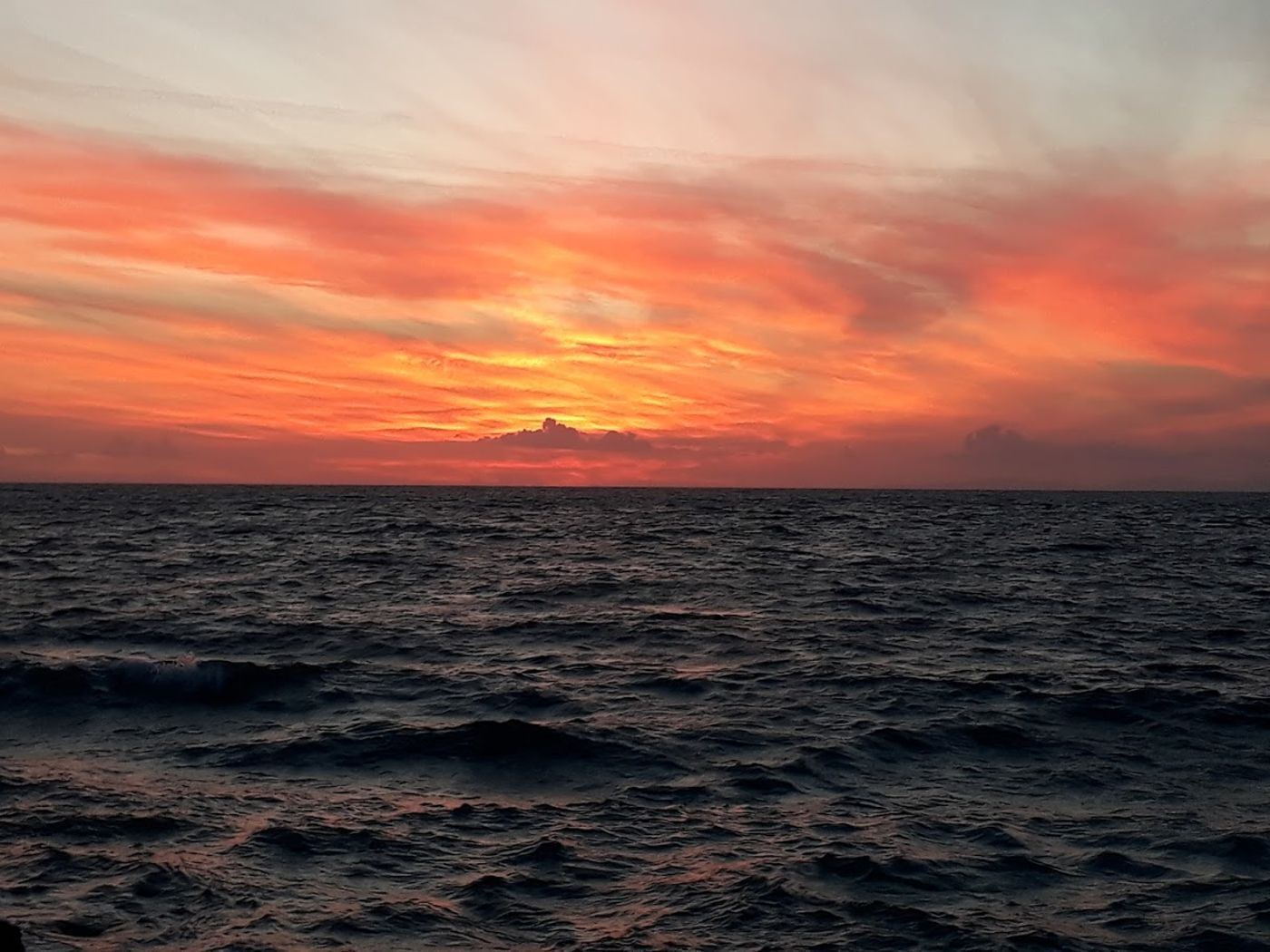 Dolphin-Apart-Beach-58