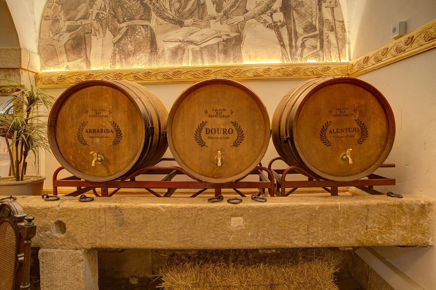 Pal-cio-das-Especiarias-Sports-and-Entertainment-25