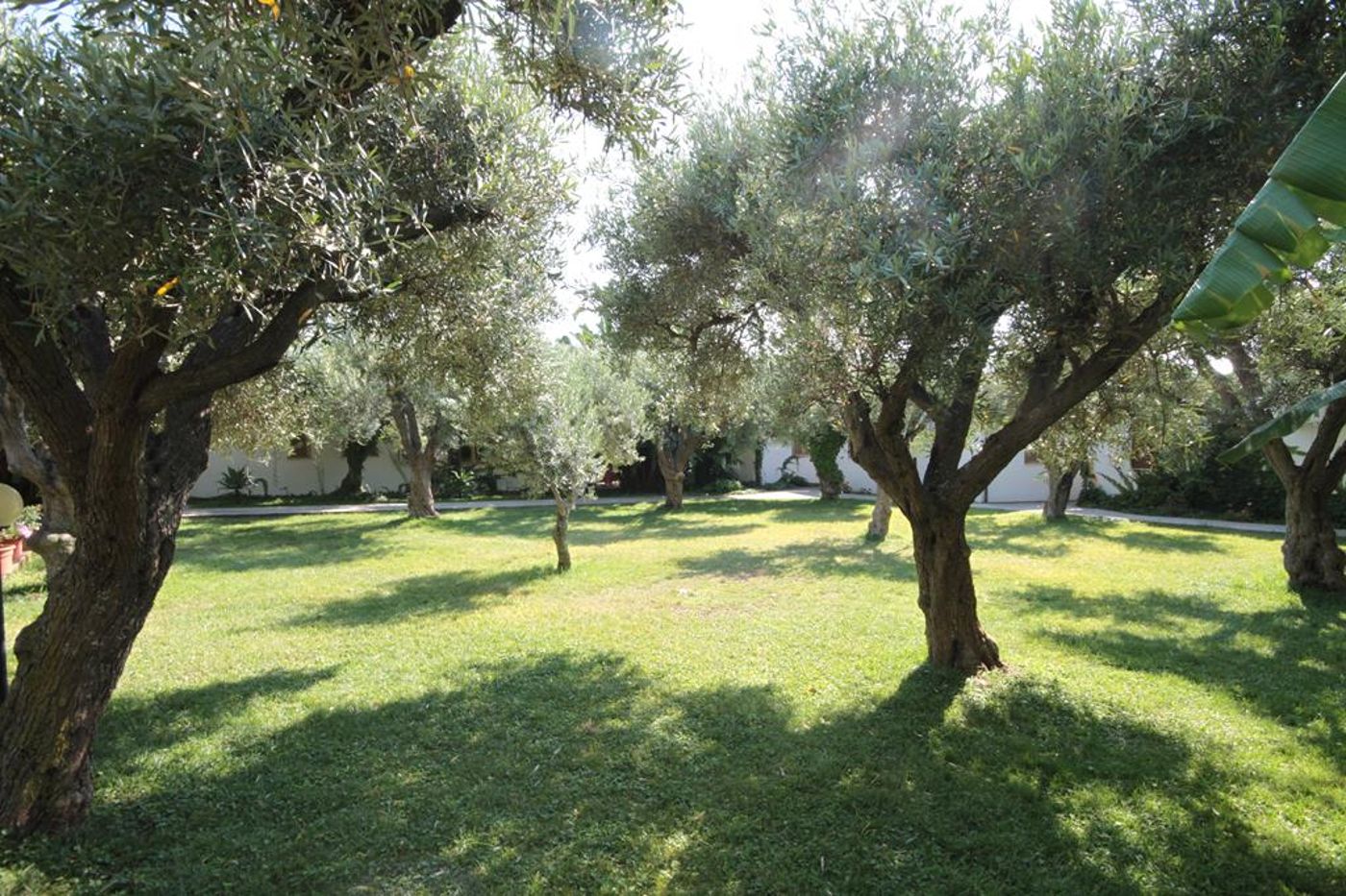 Tonicello Resort & SPA-Italy-CAPO VATICANO NEAR TROPEA-General view-3