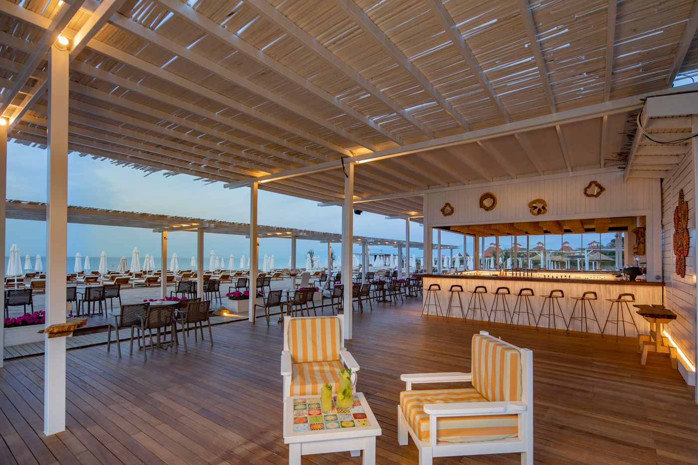 Lara Barut Collection