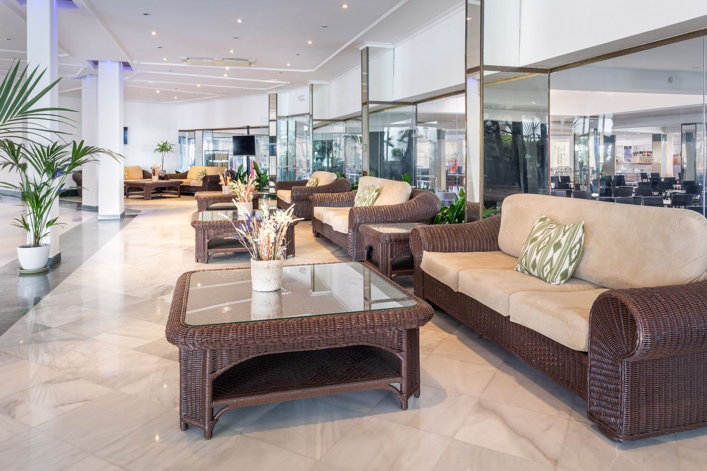 New - Sol Milanos-Pinguinos