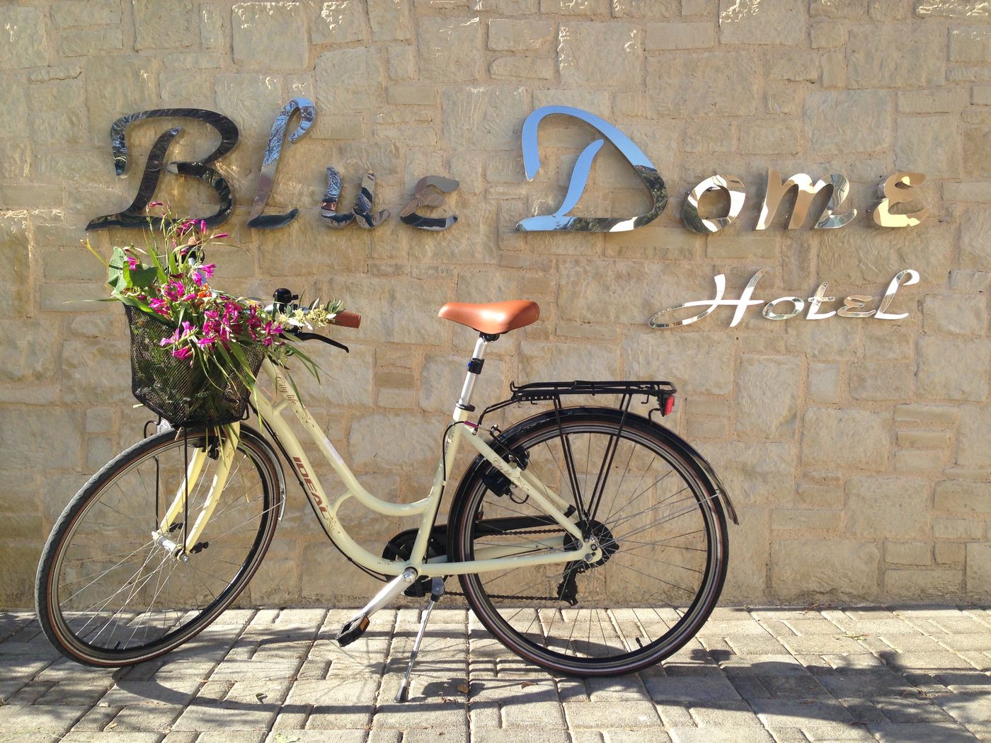 Blue-Dome-Sports-and-Entertainment-12