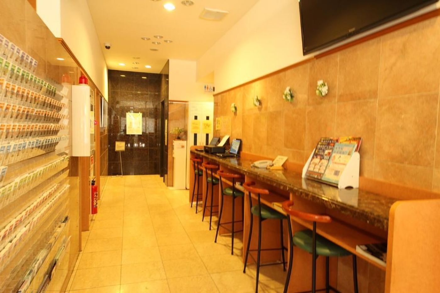 Toyoko Inn Tokyo Tameiki-Sannou-Eki Kantei-Minami-Japan-TOKYO-General view-8