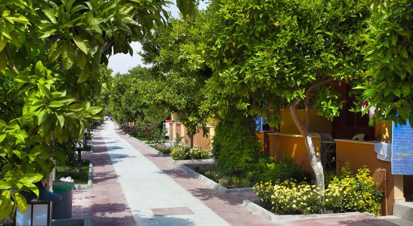 Ozlem-Garden-Terrace-8