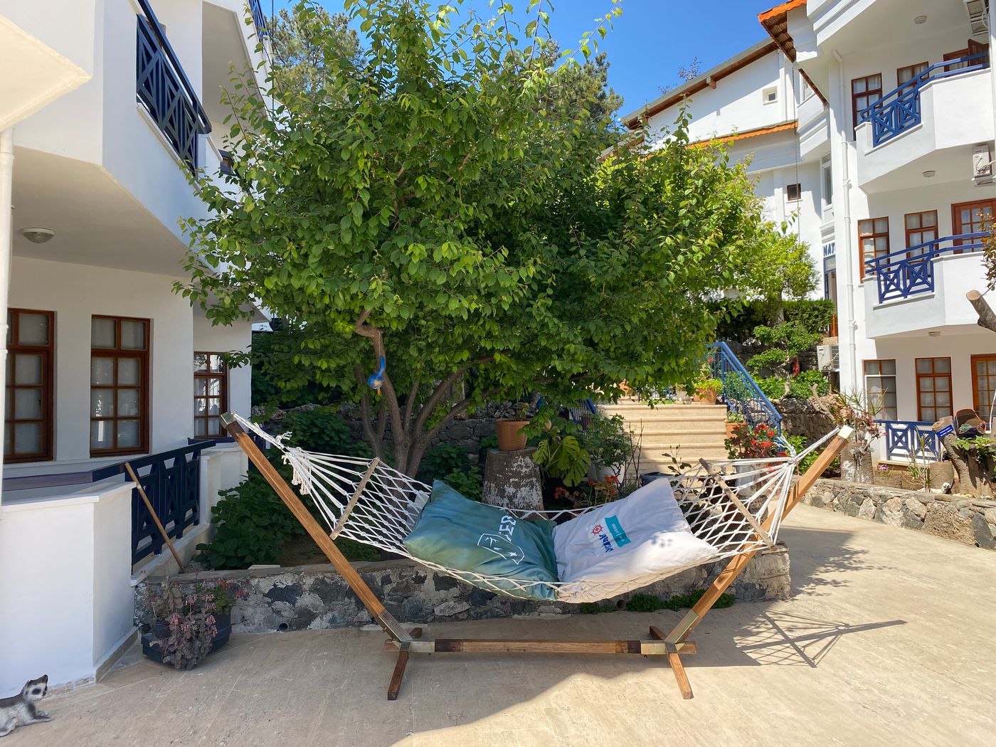 Naturella-General-view-89