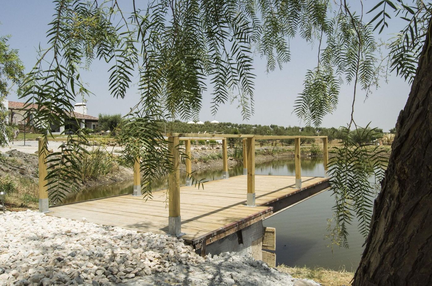 Monte da Estrela Country House & SPA-Portugal-MOURA-General view-4