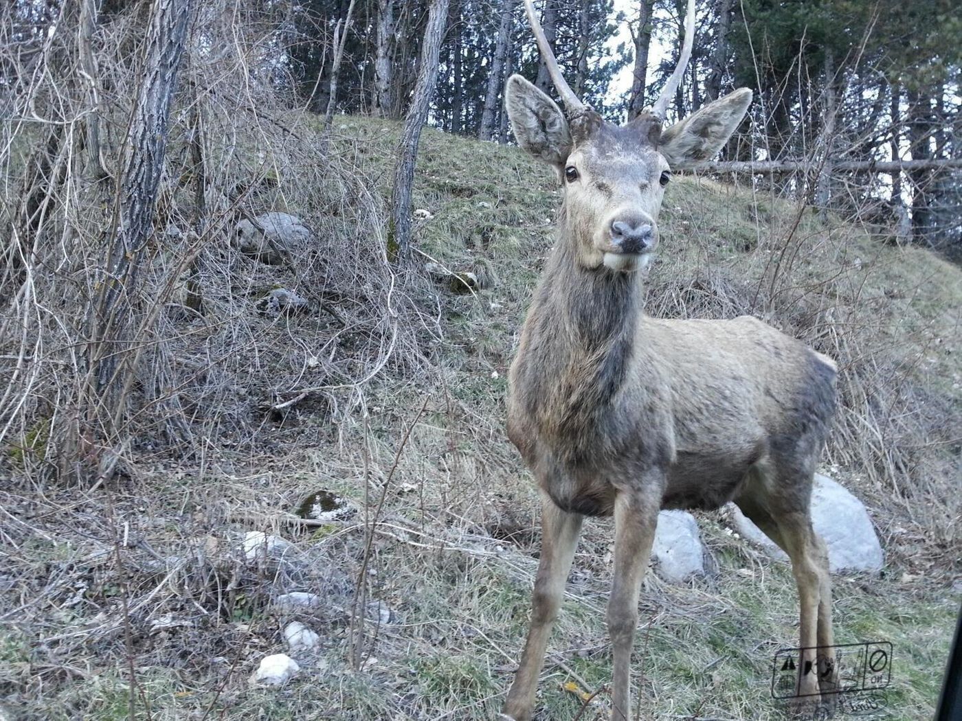 Hotel-La-Pieja-General-view-16