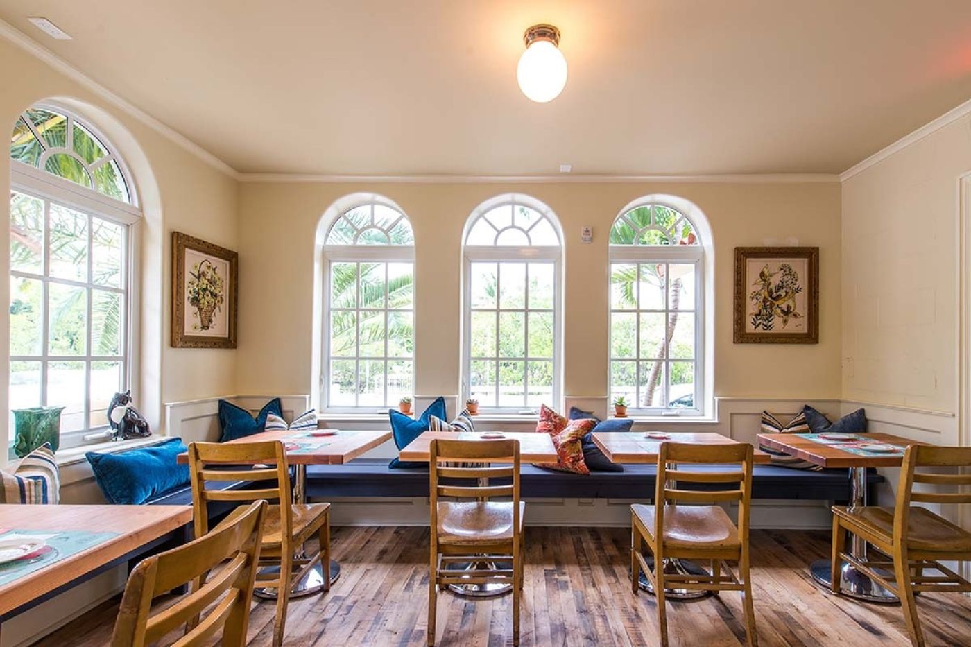 freehand miami 17.02