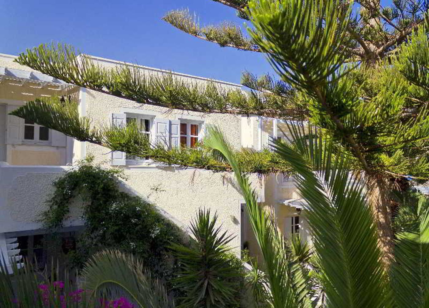 Dolphins-General-view-4