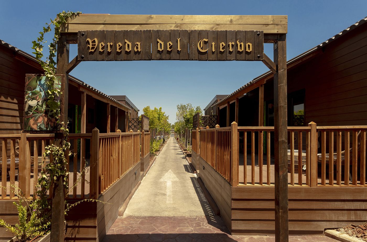 Magic-Robin-Hood-General-view-19