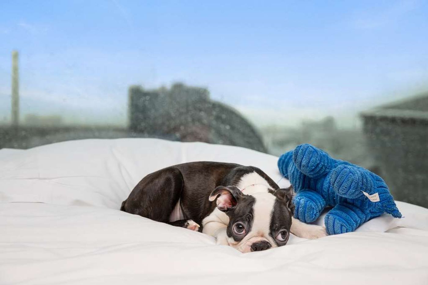 Radisson RED Hotel, Glasgow-United Kingdom-Glasgow-General view-2