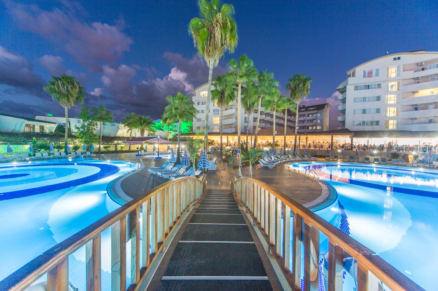 Lonicera--World-Pool-4