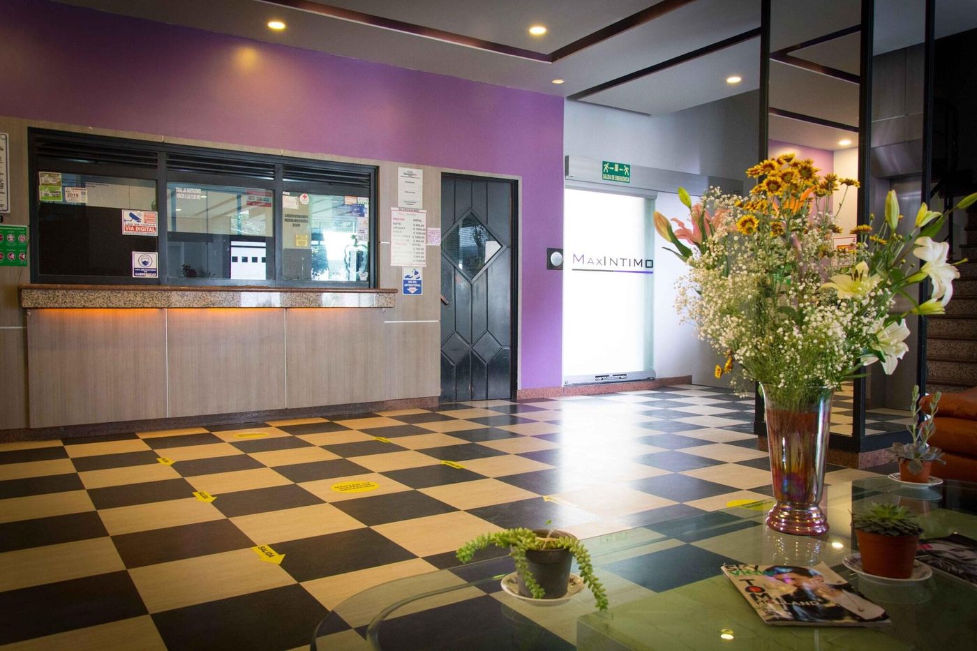 Hotel MaxIntimo-Mexico-MEXICO CITY-DOCTORES AREA-Lobby-5