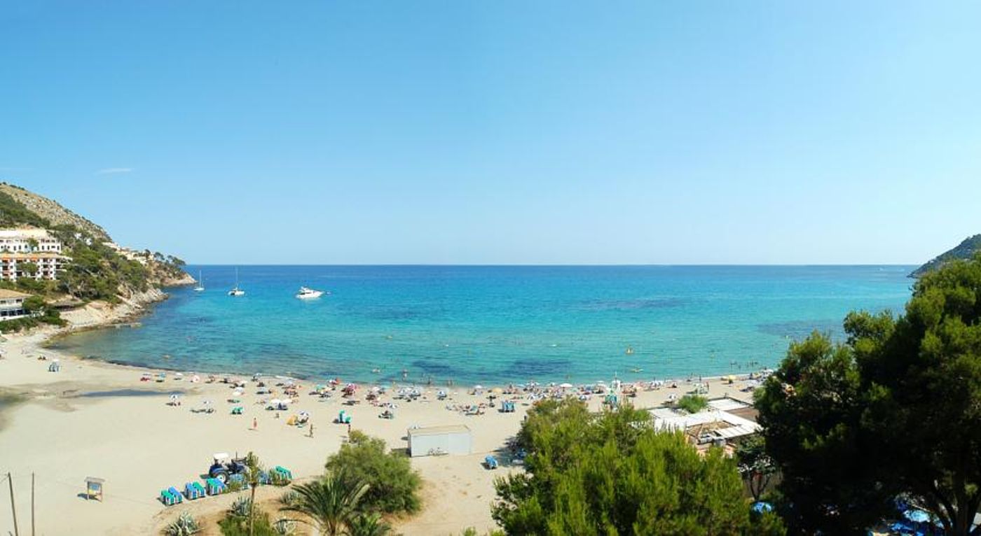 Universal Castell Royal