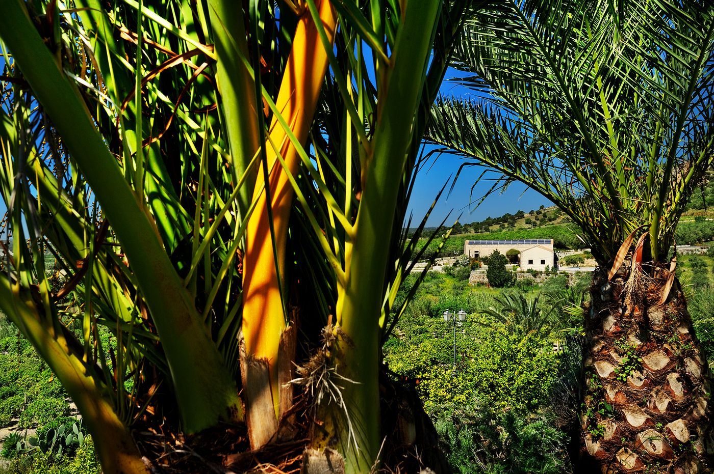 Kallikoros-Hotel-Spa-and-Resort-Room-19