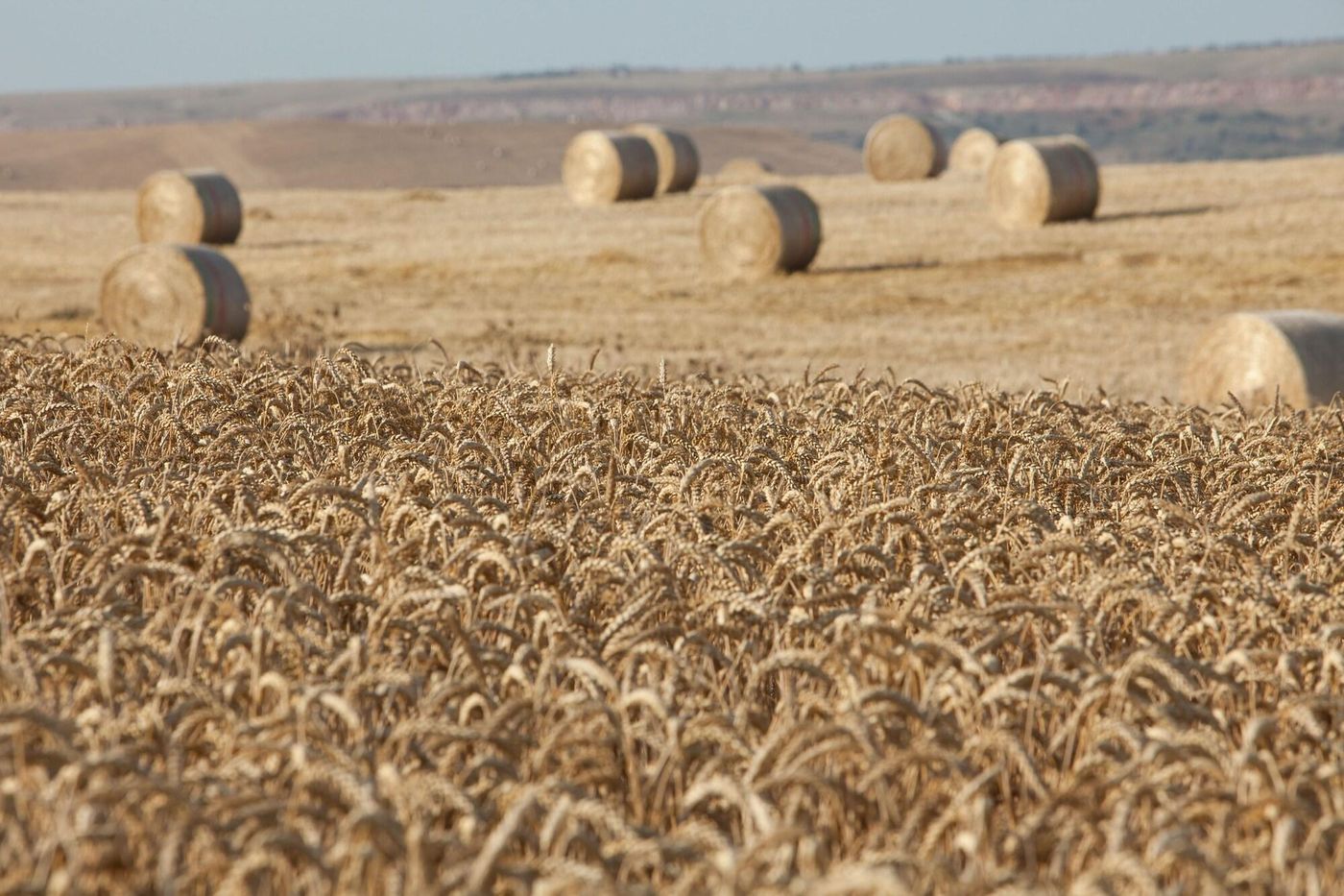 Tenuta Danesi-Italy-MATERA-General view-4