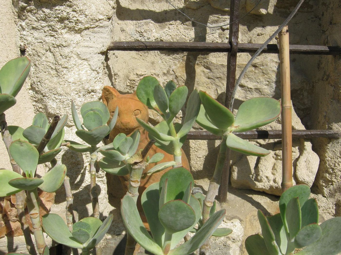 Les Jardins de la Livrée-France-VILLENEUVE LES AVIGNON -General view-3