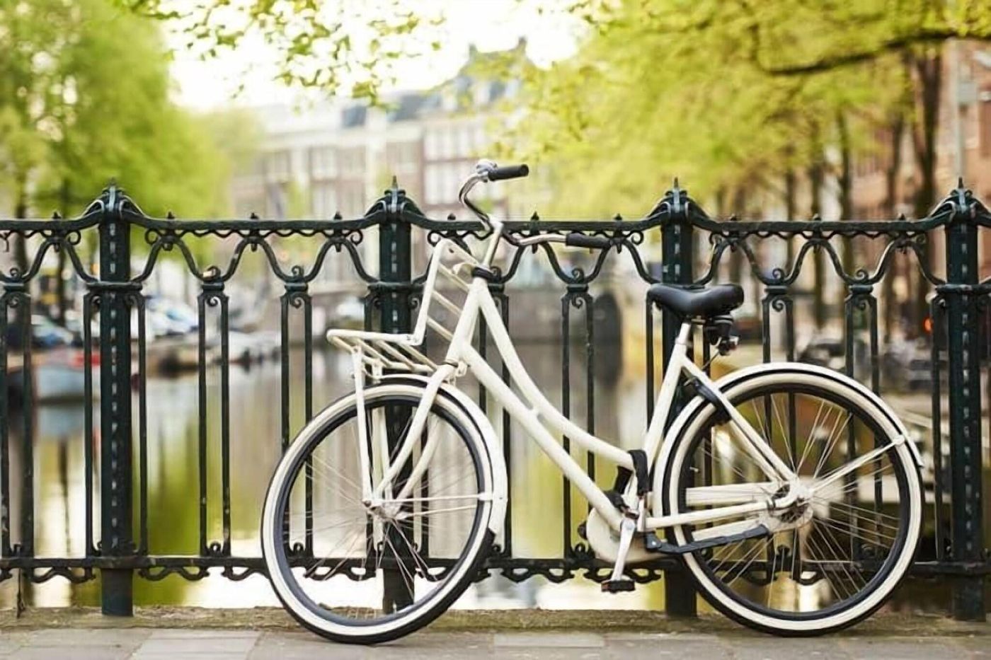 Owl-Hotel-Sports-and-Entertainment-11