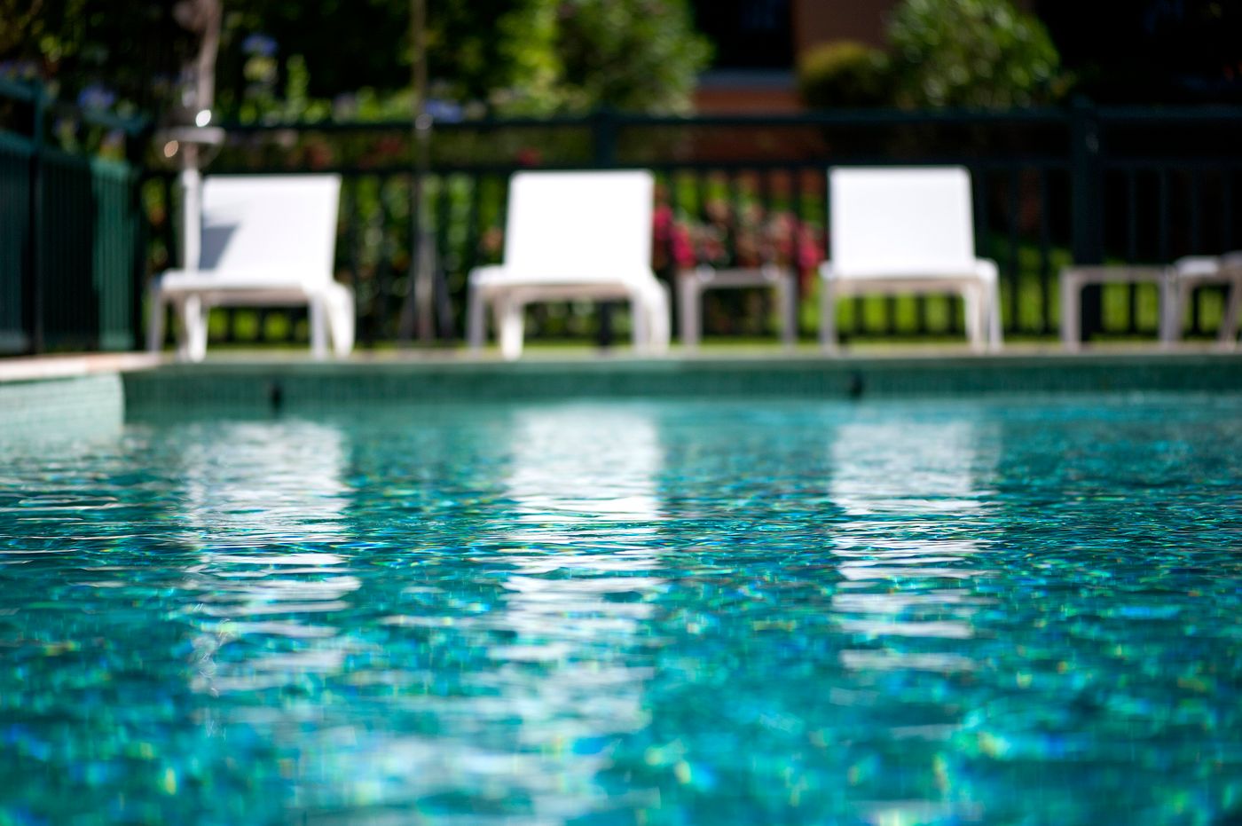 Les Frères Ibarboure, The Originals Collection-France-BIDART-Pool-10