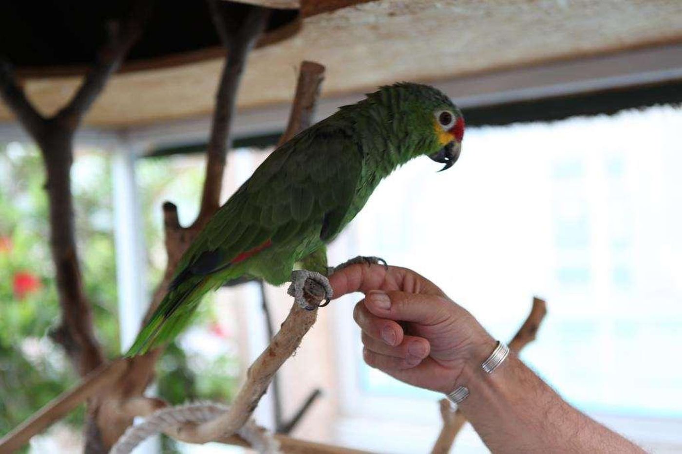 Hotel Gil de France - France - CAP D'AGDE - General view - 10
