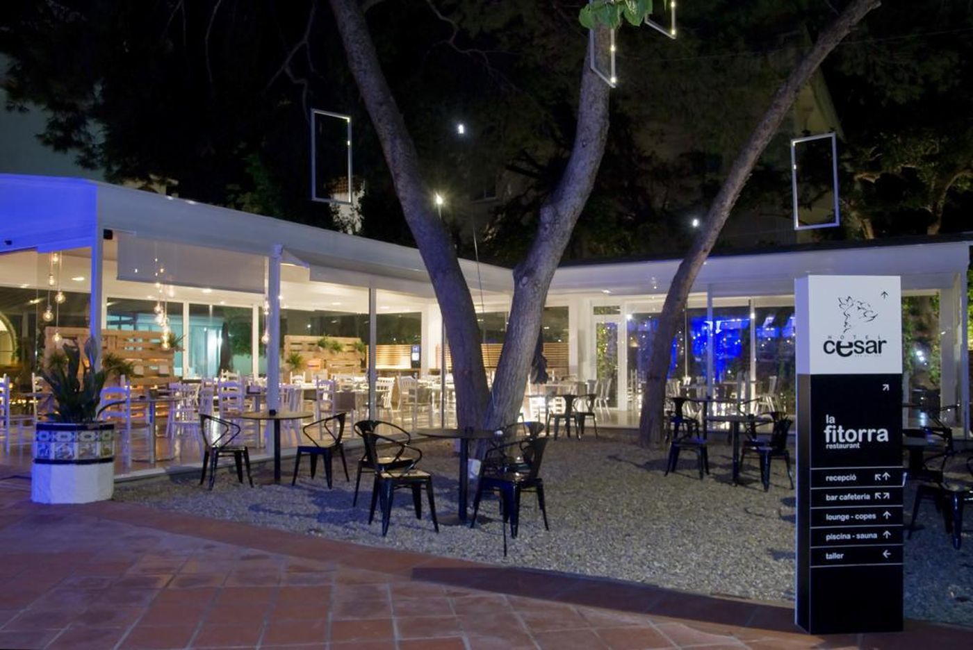 Cesar-General-view-6