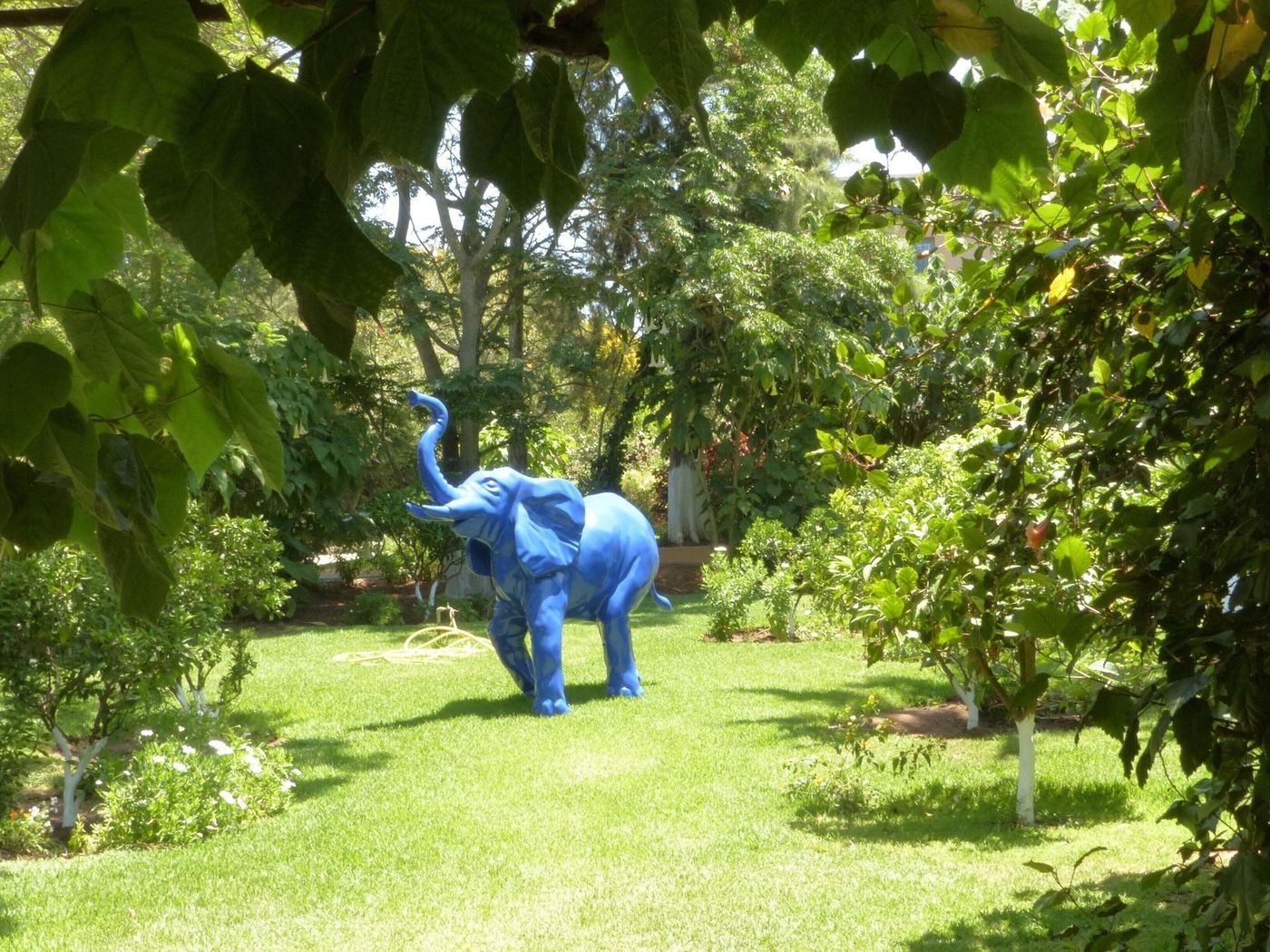 Villa Mandarine-Morocco-RABAT -General view-7