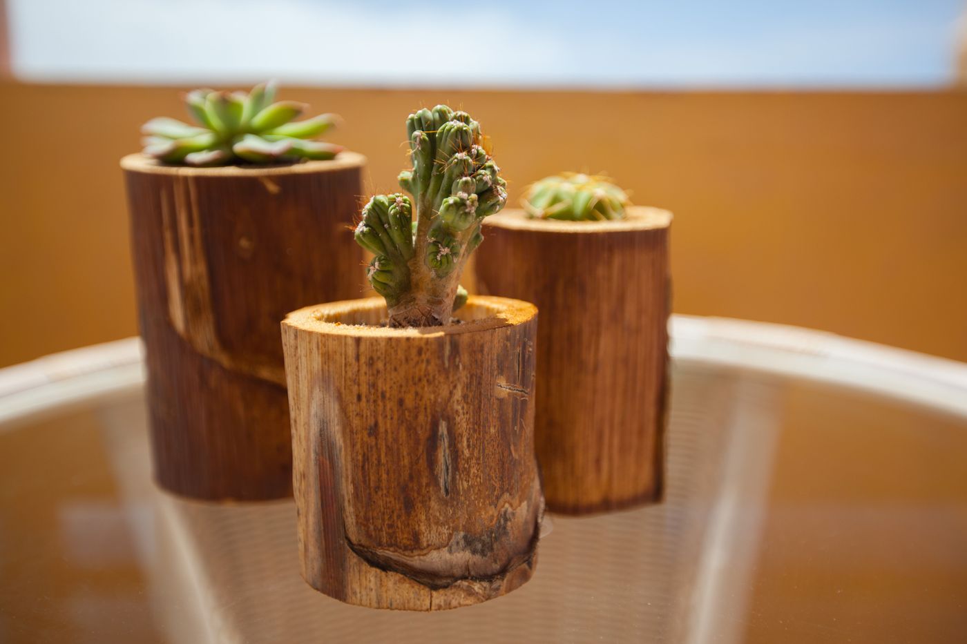 Corallium-Dunamar-by-Lopesan-Hotels-Terrace-38