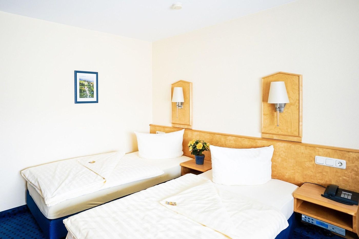 Hotel Sauer Garni - Germany - NEU-ISENBURG - Room - 9