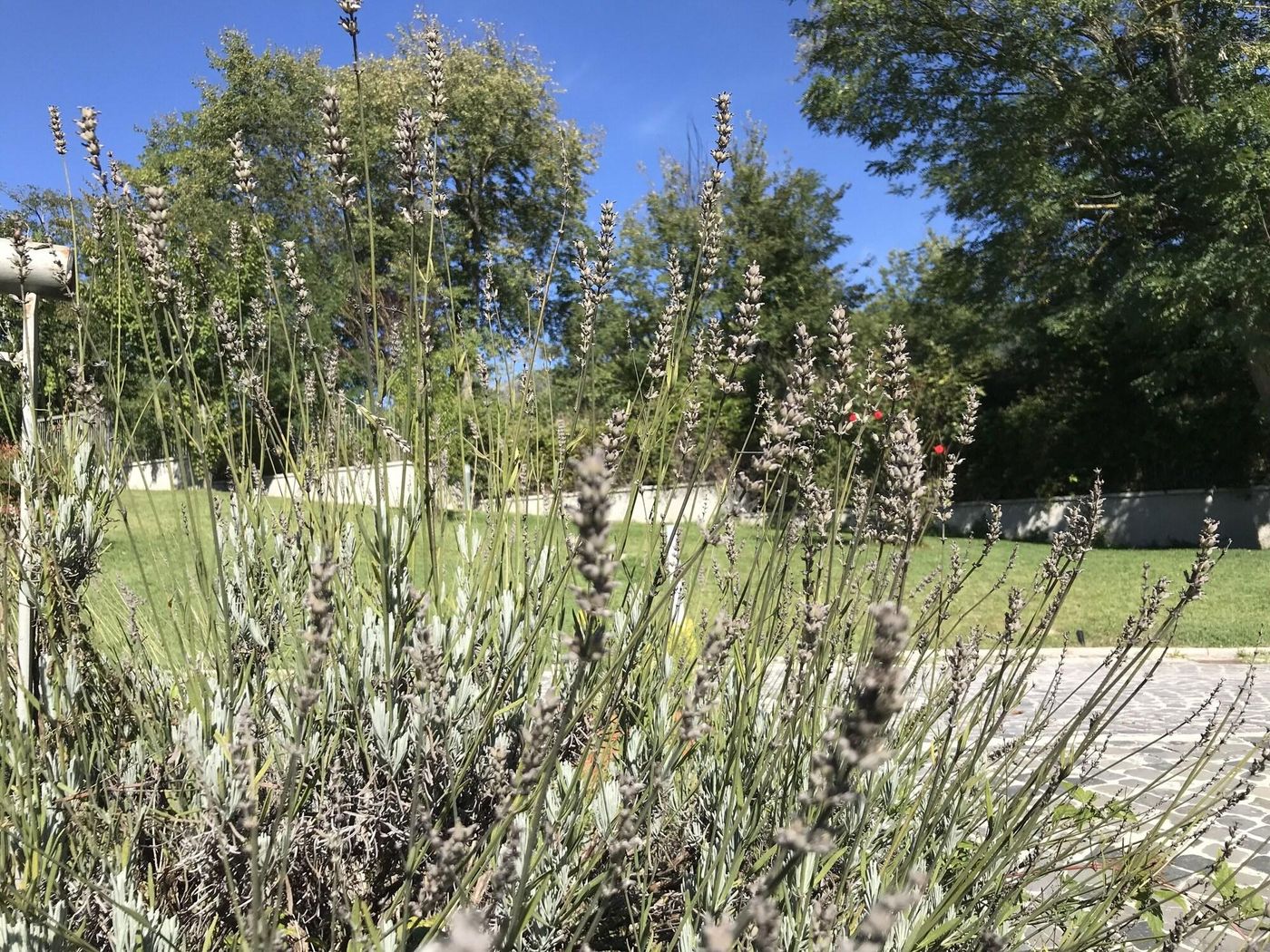 Oasi-Del-Vetoio-General-view-27