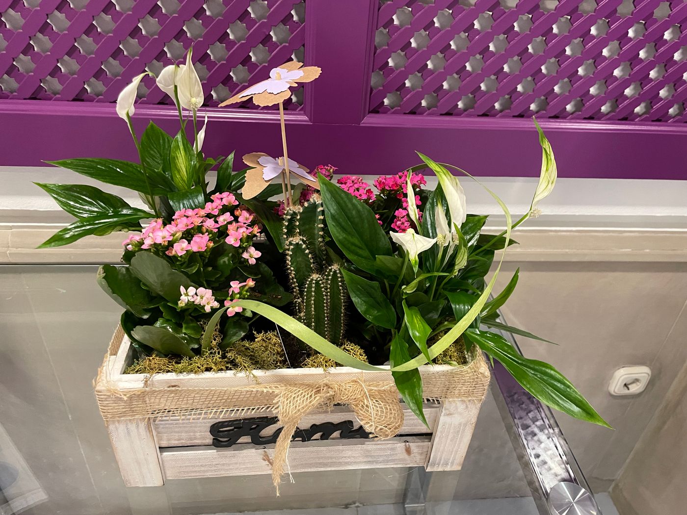 Plaza-Cavana-Lobby-61