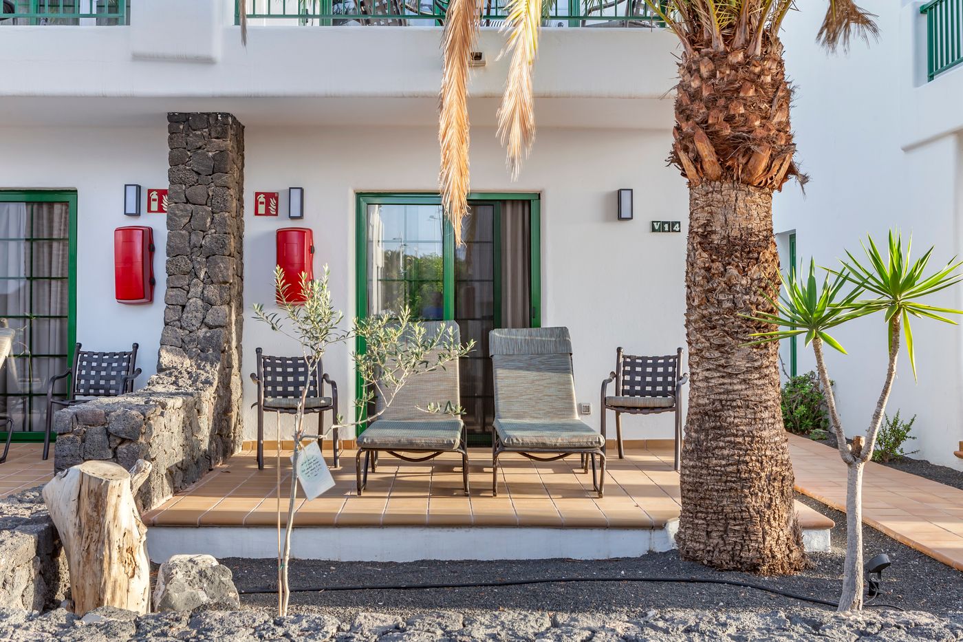 New - Club del Carmen