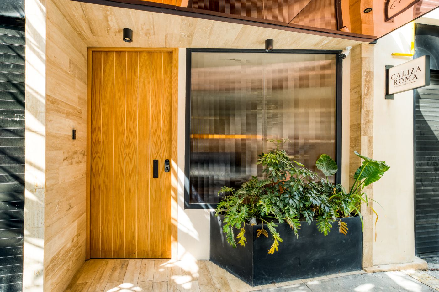 Caliza Roma-Mexico-Ciudad de México-General view-2