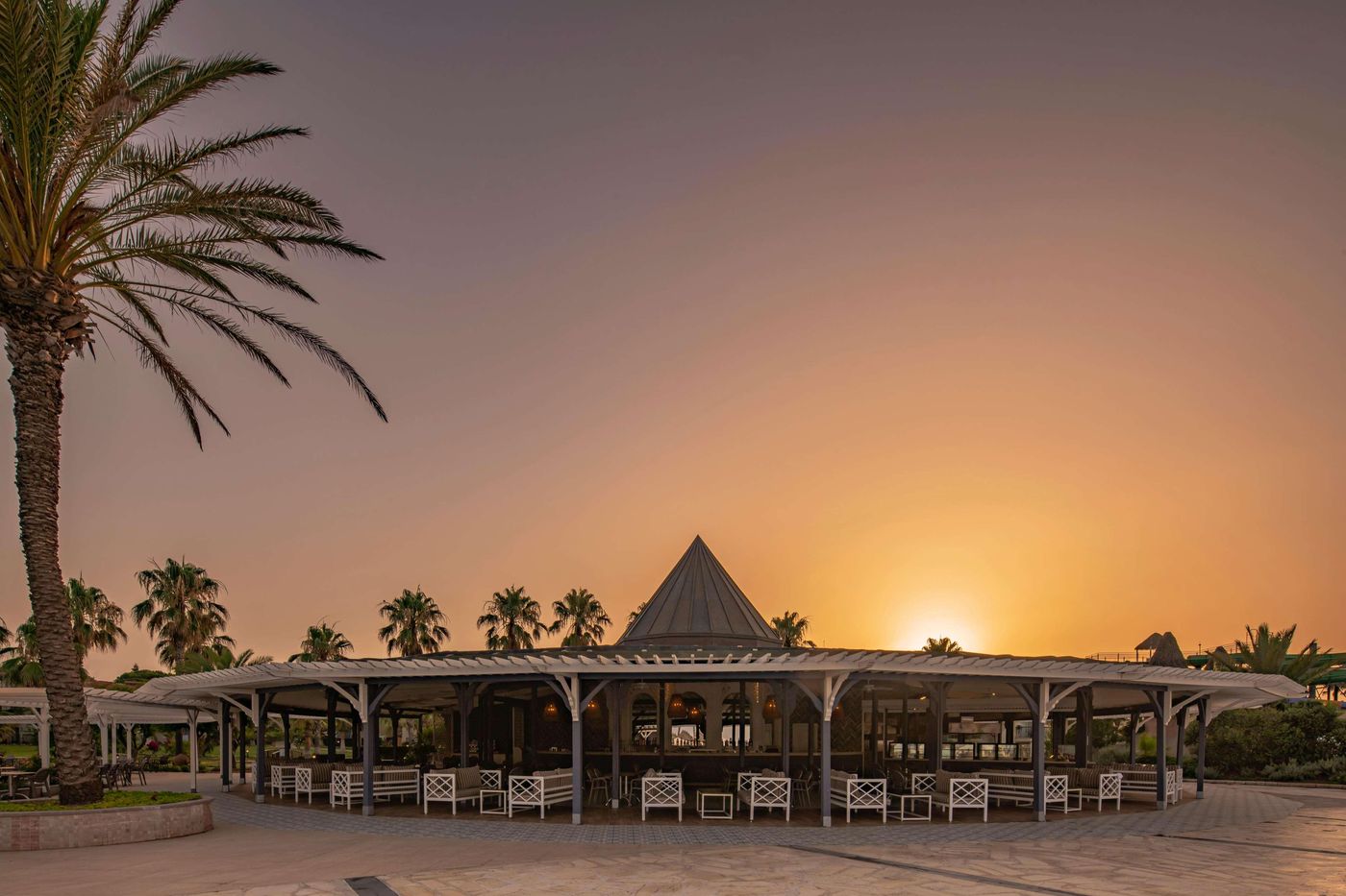 Papillon-Belvil-Bar-20