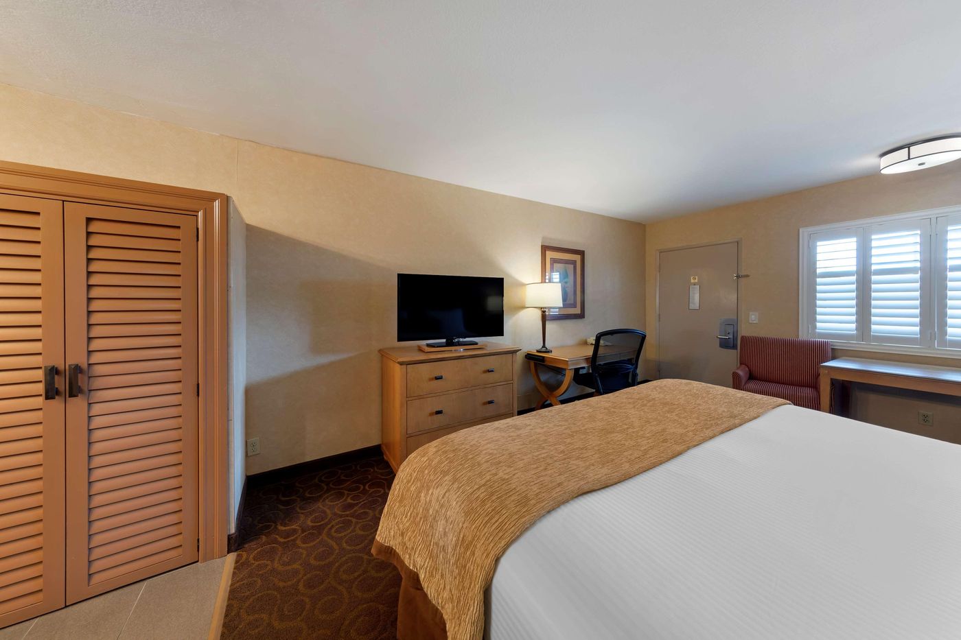 Best-Western-Plus-Pavilions-Room-26