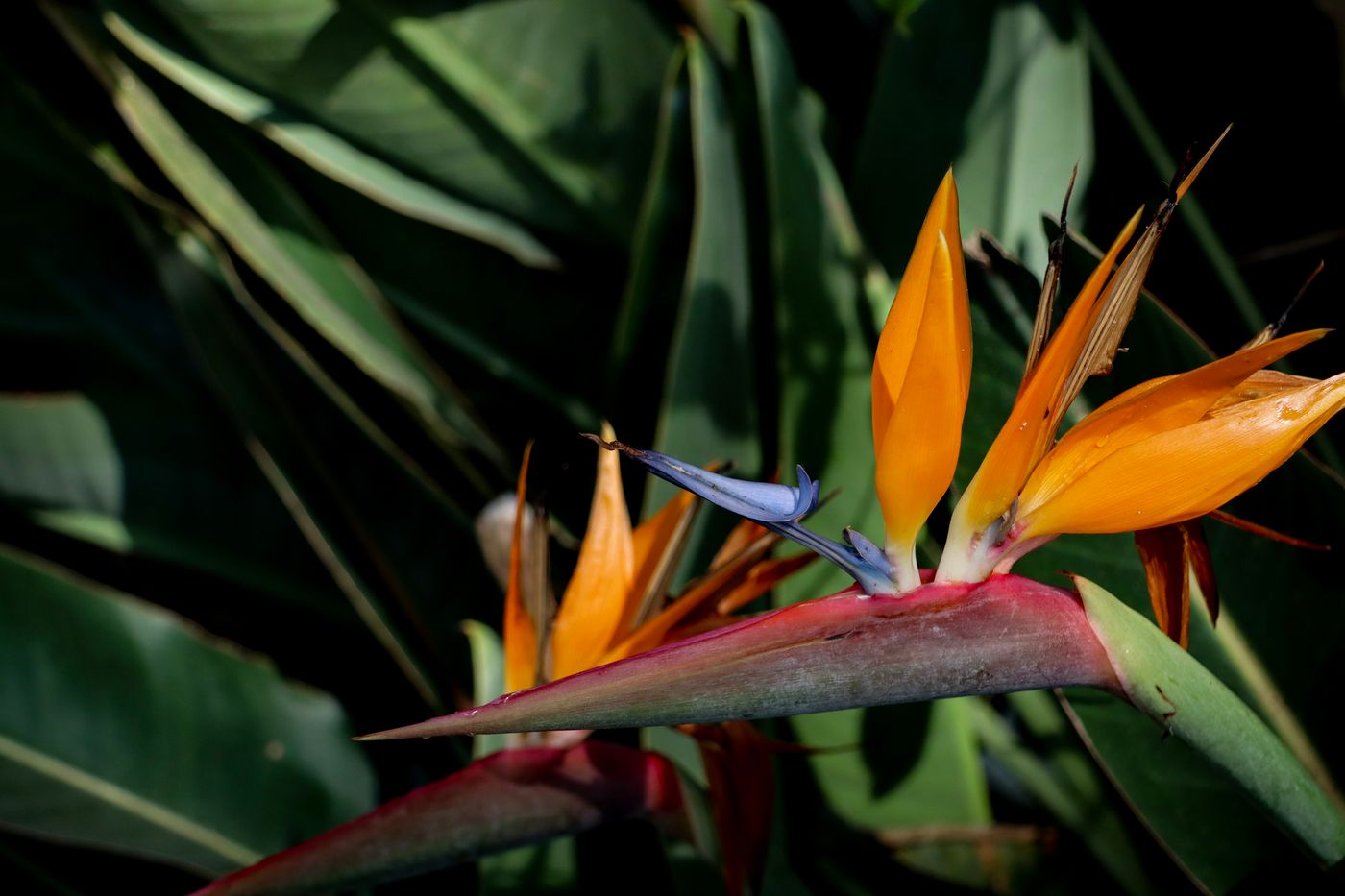 Quinta-da-Bela-Vista-General-view-24