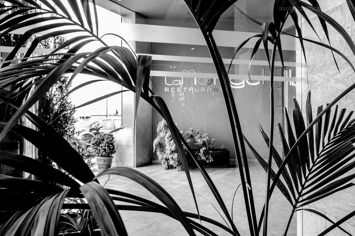 Silvota-Spain-LLANERA-Lobby-9