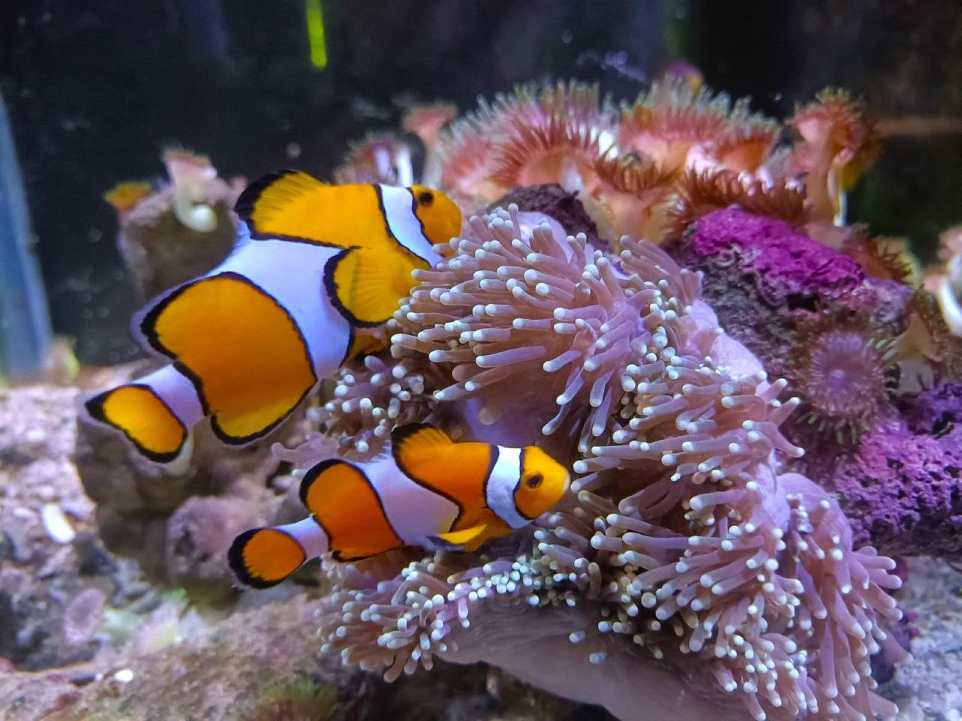 Crowne-Plaza-Phuket-Panwa-Beach-Sports-and-Entertainment-87