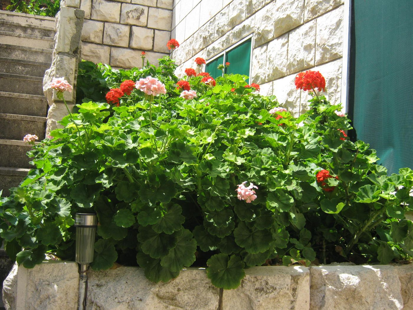 Afrodita-Apartments-Room-6