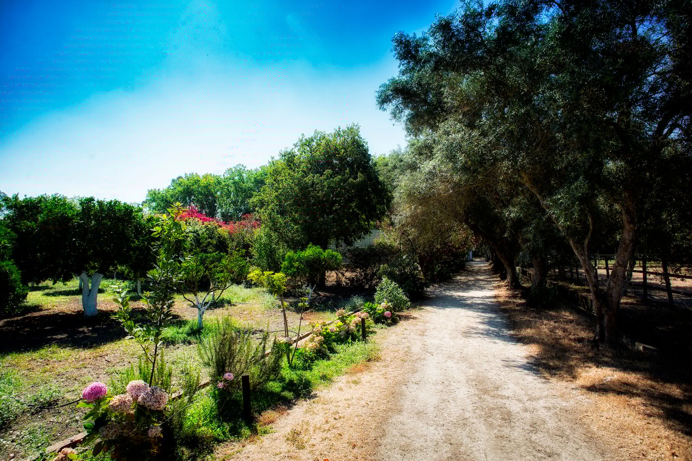 Quinta-Da-Praia-Das-Fontes-Sports-and-Entertainment-5