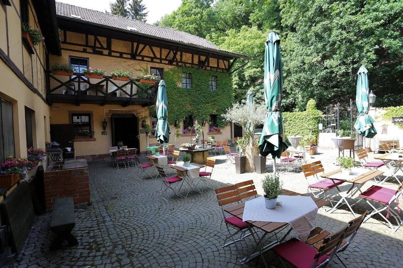 Landhotel Burkartsmühle - Germany - HOFHEIM AM TAUNUS - Terrace - 7