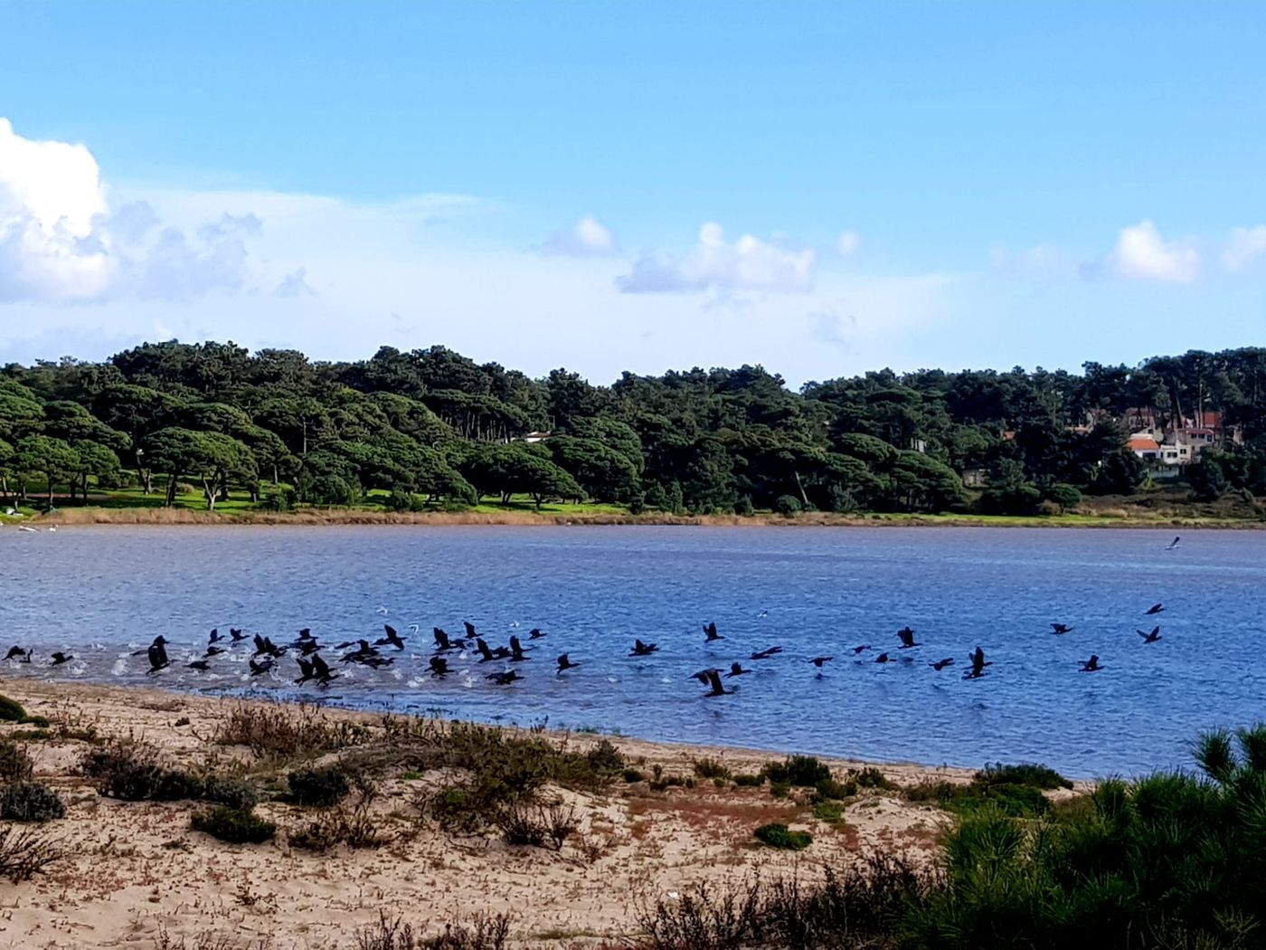 Sublime-Sun-and-Van-by-Meco-Stays-Beach-29