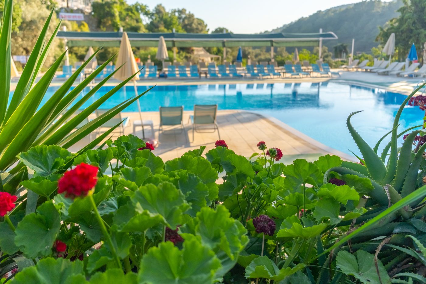 Pink-Palace-General-view-15