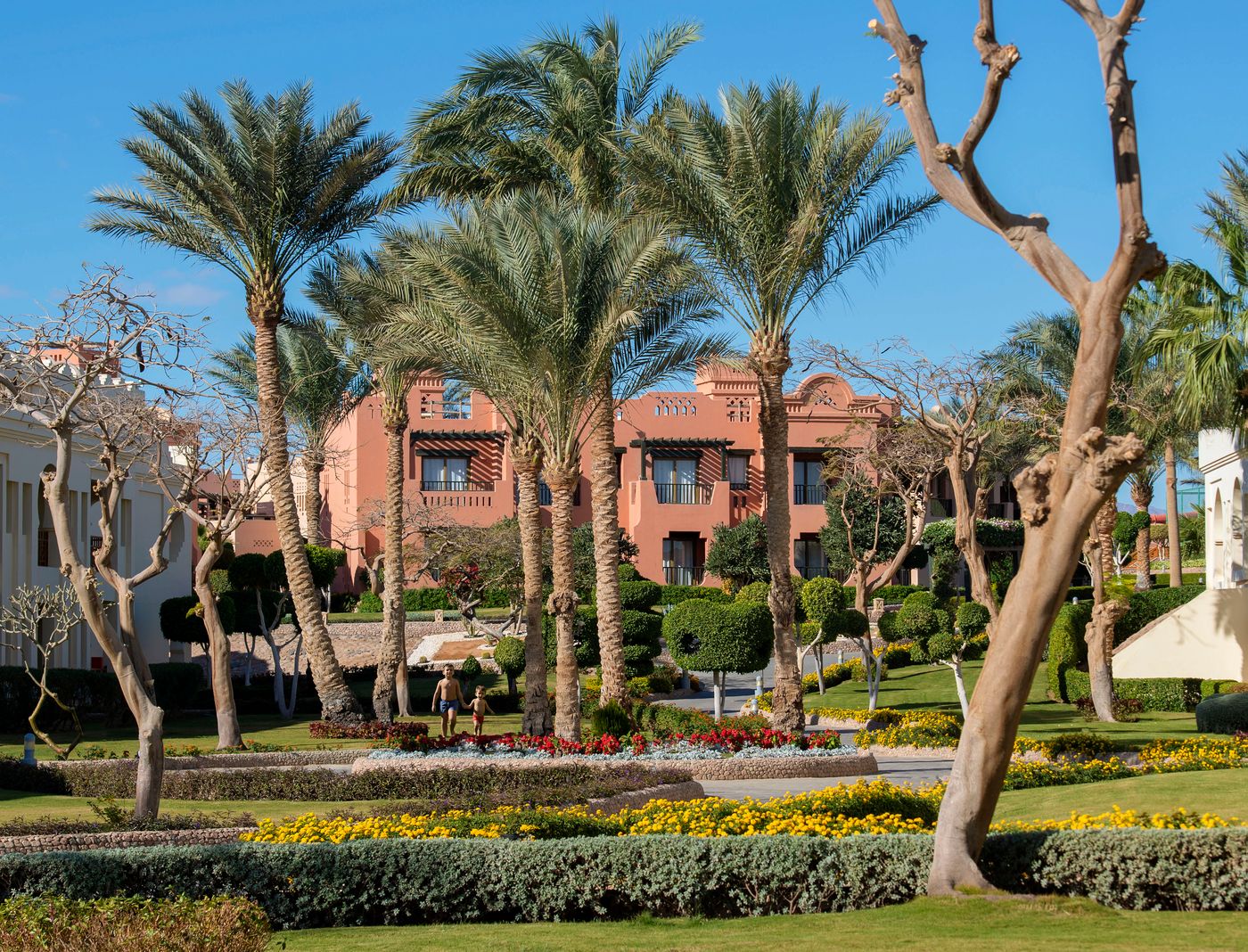 Charmillion Sea Life Sharm