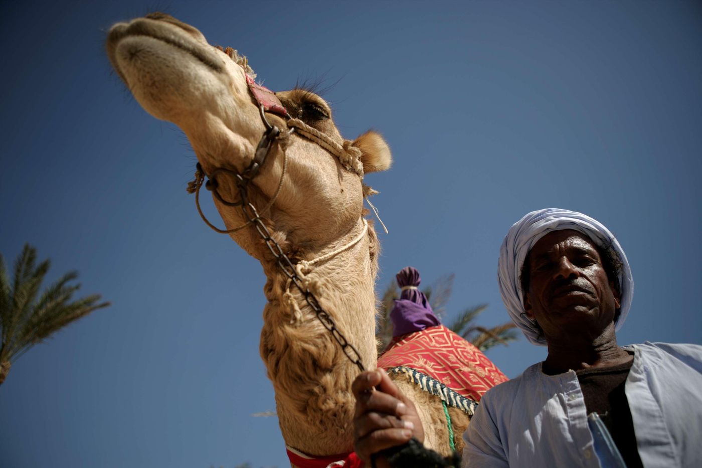 Flamenco-Beach-and-Resort-Beach-21