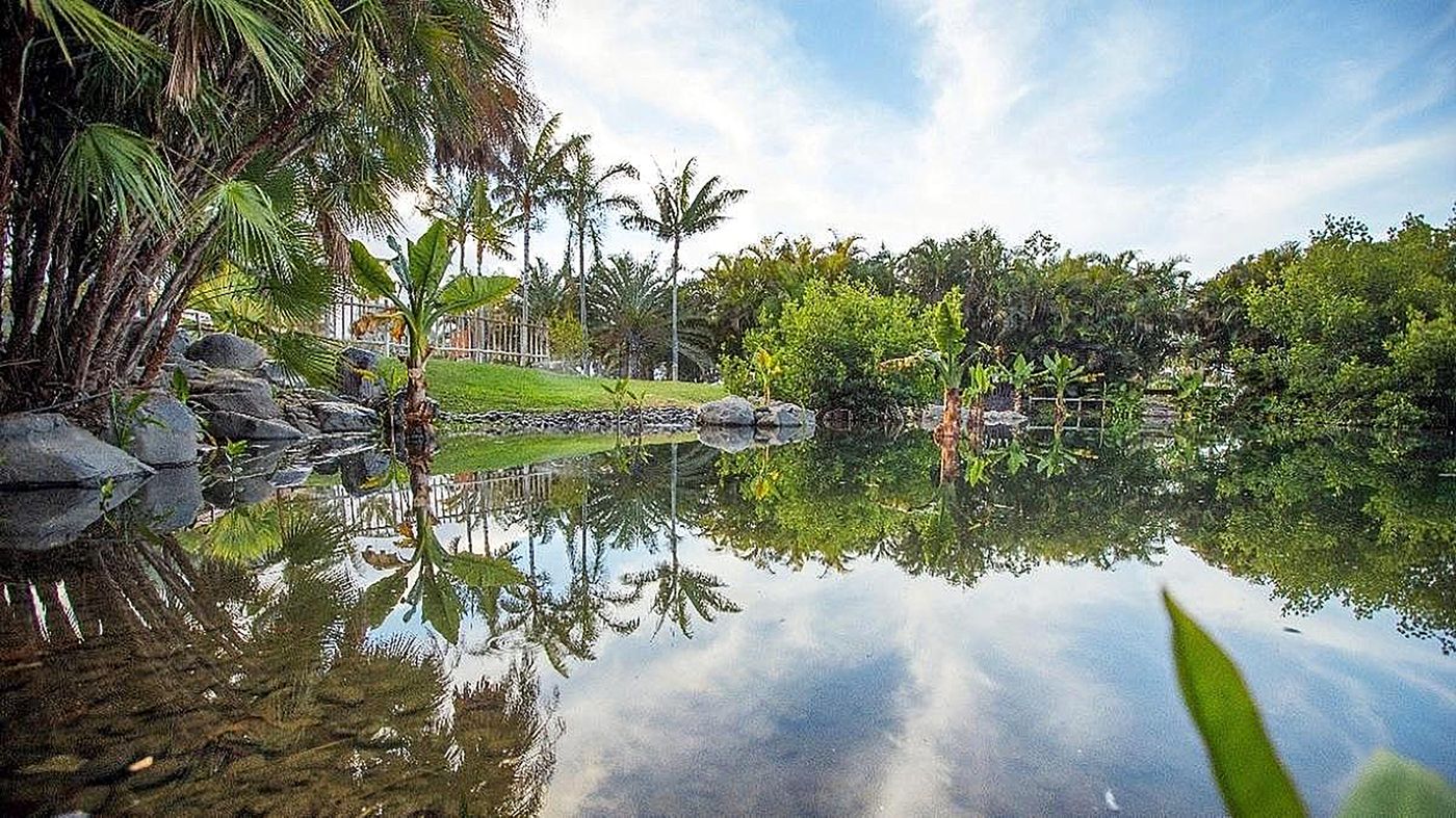 Adonis-Pelinor-Sports-and-Entertainment-4