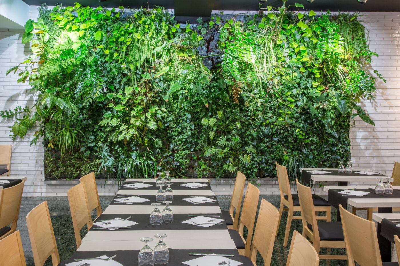 Gran Hotel Don Juan Resort