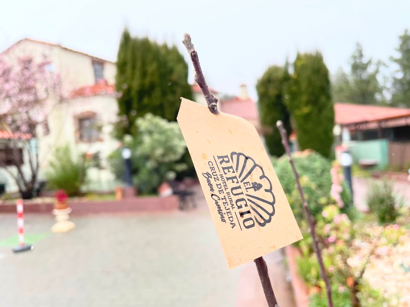 El-Refugio-Terrace-15