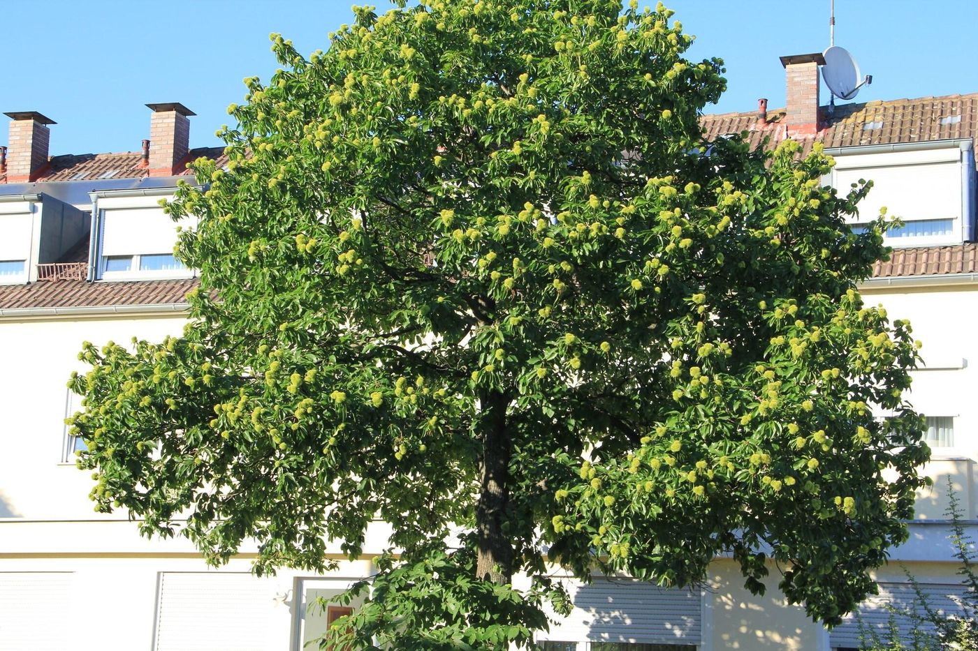 Hotel Westend-Germany-NUREMBURG -General view-4