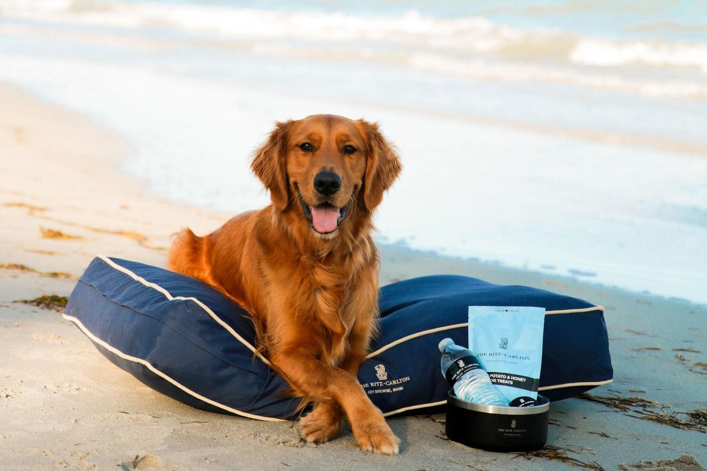 The Ritz-Carlton Key Biscayne, Miami - United States - Key Biscayne - General view - 6
